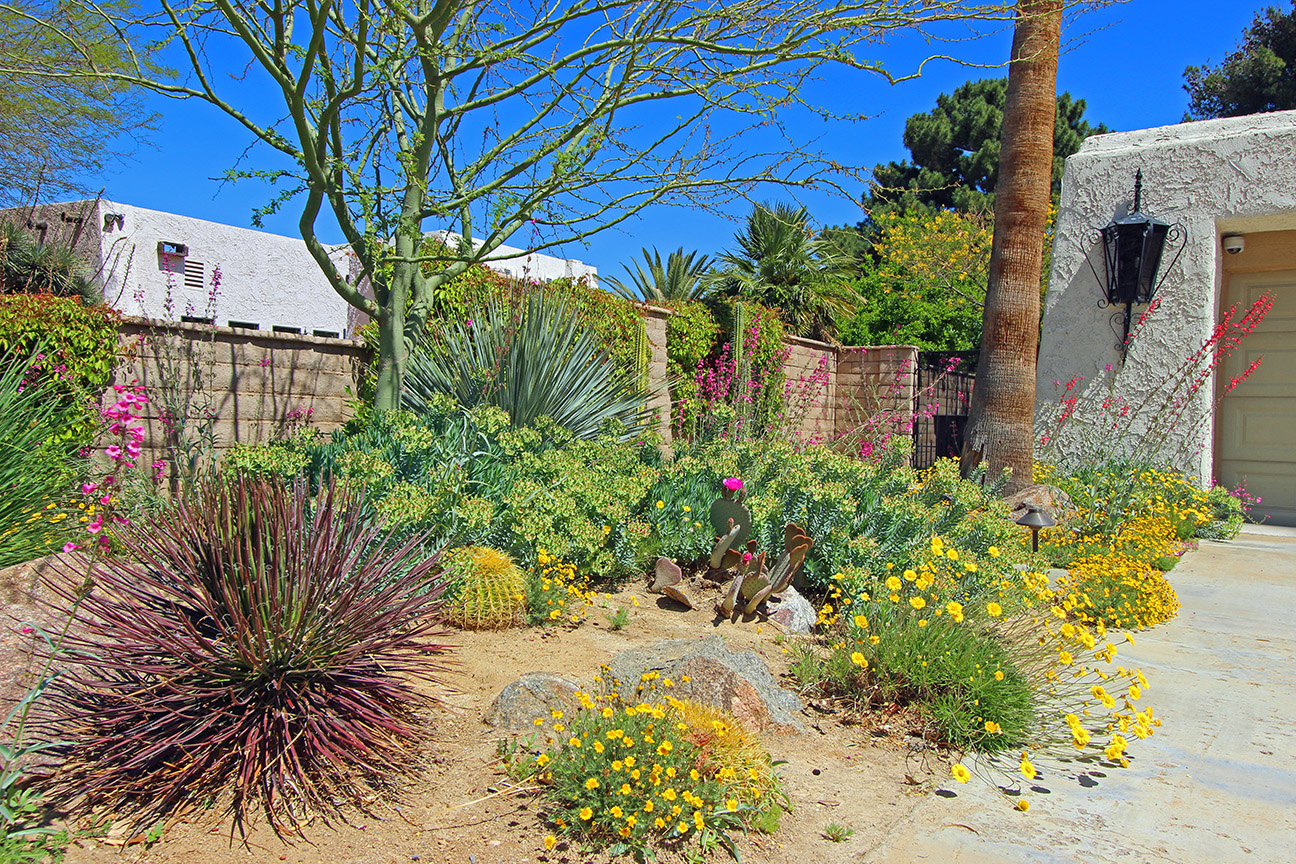 desert landscaping las vegas